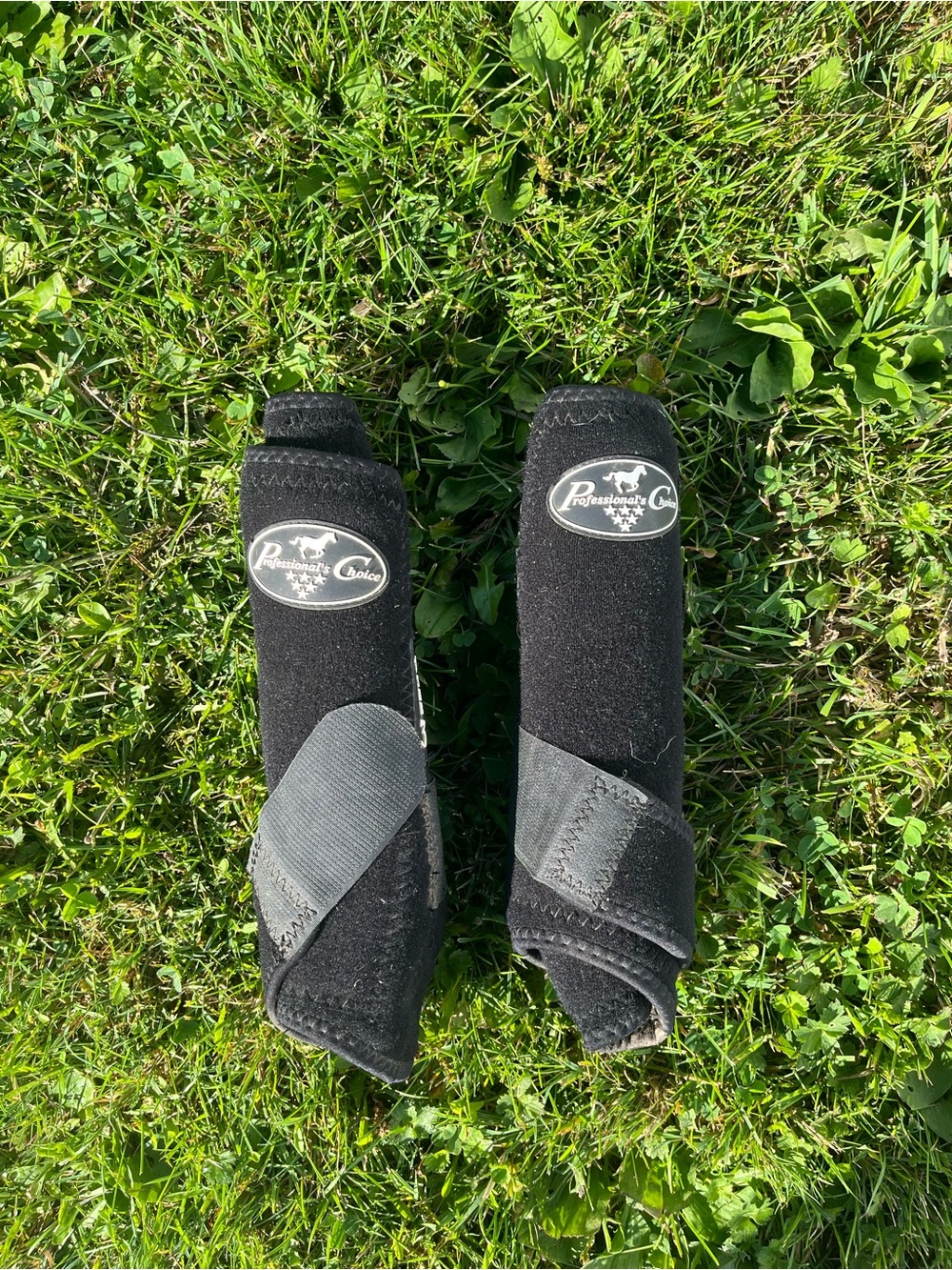 Professional choice boots